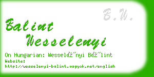 balint wesselenyi business card